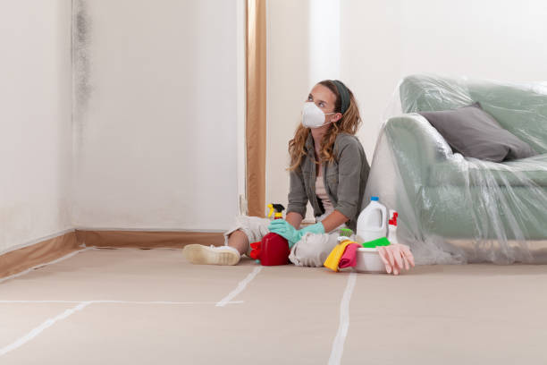 Reliable Attic Mold Removal contractor in New Brunswick, NJ by WQB Mold Removal